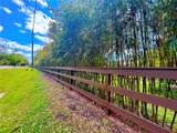7219 Wilson Rd - Photo 34