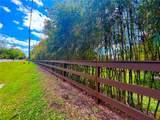 7219 Wilson Rd - Photo 65