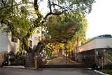 1720 N River Dr - Photo 1