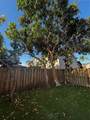 15345 119th Ln - Photo 44