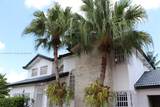2921 141st Ct - Photo 2