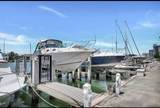 5401 Collins Ave - Photo 24