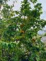 8701 191st St - Photo 32