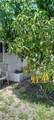 3161 5th St - Photo 14