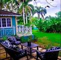 00 Garden Parish, St Ann's Bay, Jamaica - Photo 10