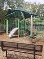 3808 Tree Top Dr - Photo 6