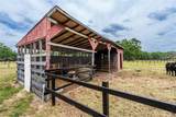 10631 Hwy 40 - Photo 16