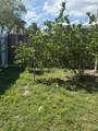 6309 Wiley St - Photo 34