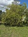 6309 Wiley St - Photo 37