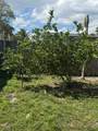 6309 Wiley St - Photo 38