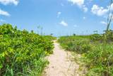 3000 Highway A1a - Photo 56
