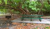 7920 Harding Ave - Photo 9