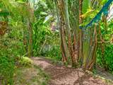 4209 Pinewood Ln - Photo 60