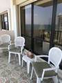 5100 Ocean Blvd - Photo 19