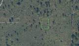 7811 Ronda St - Photo 3