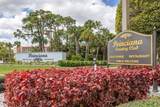 3661 Via Poinciana - Photo 60