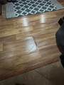 1779 16th St - Photo 13