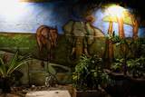 561 53rd St - Photo 78