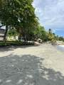 Paya Bani Dominican Republic - Photo 3