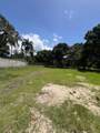 Paya Bani Dominican Republic - Photo 6