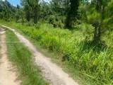 0 Deen Still Rd E - Photo 3