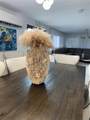 1301 Grouper Dr - Photo 65
