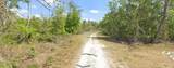 3007 Cacao Rd - Photo 5