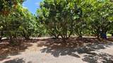 20970 296 St. - Photo 8