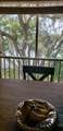 2445 33rd St - Photo 3