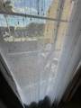12413 112th Ter - Photo 16