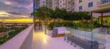 591 Evernia  Sreet - Photo 16