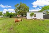 12750 197th Ave - Photo 50