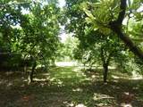 18760 238th St - Photo 20