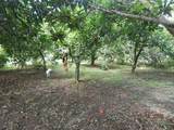 18760 238th St - Photo 21