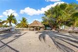 301 Oleander Dr - Photo 45
