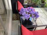 3133 Ocean Dr - Photo 23