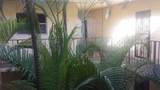 11905 2nd Ave - Photo 1