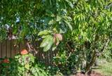 22000 127th Ave - Photo 39
