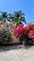4812 Pine Tree Dr - Photo 14