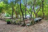 103 Tree Ln - Photo 24