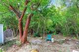 103 Tree Ln - Photo 25