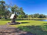 4419 Loblolly Bay Rd. - Photo 27