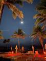 18201 Collins Ave - Photo 42