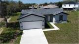 1427 Punta Gorda Dr - Photo 1