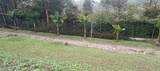 Vereda Mampuesto Sector Garrido #2 - Photo 4