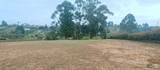 Vereda Mampuesto Sector Garrido #14 - Photo 5