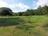 vereda LA RECTA El Palmar Del Municipio De Sopet - Photo 10