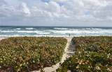 2565 Ocean Blvd - Photo 36