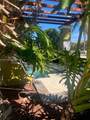 2160 Preserve Way - Photo 26