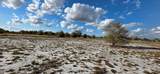 16525 260 St - Photo 19
